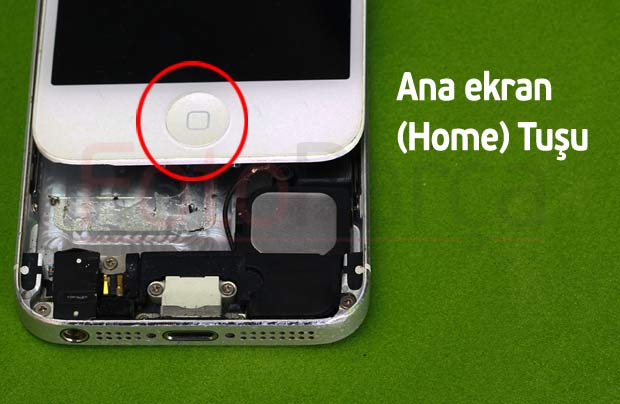 iPhone Ana ekran Home tuşu